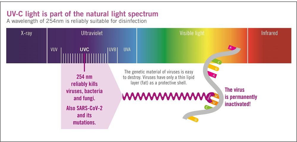 Disinfection_with_UV_light_graphik_EN.jpg